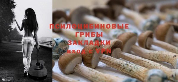 ECSTASY Богданович