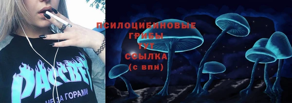 мяу мяу мука Беломорск