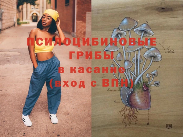 ПСИЛОЦИБИНОВЫЕ ГРИБЫ Богородицк