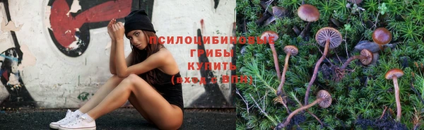 круглые Богородск