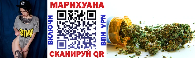 Бошки Шишки планчик Киров